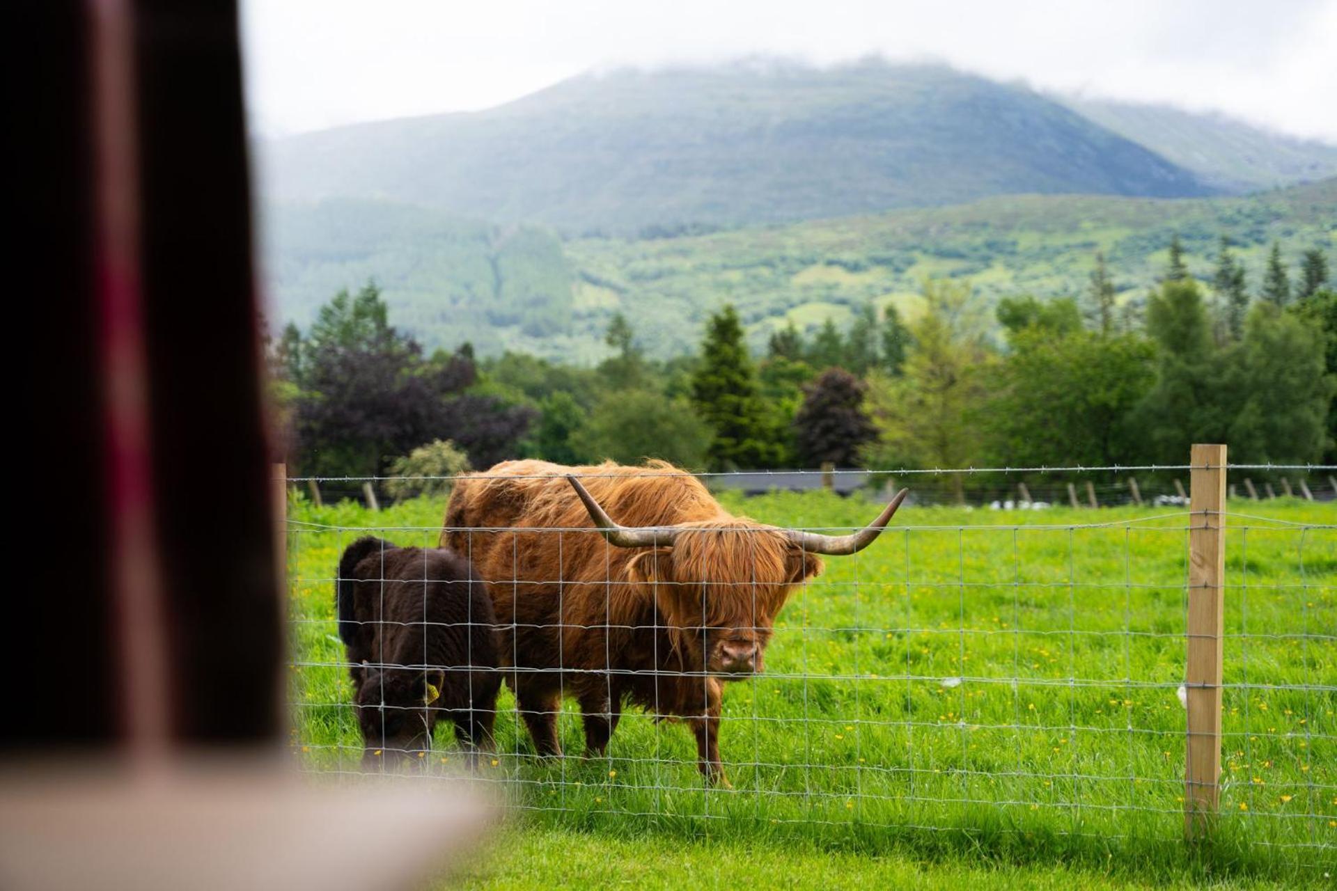Ben Nevis Pod Villa ฟอร์ตวิลเลียม ภายนอก รูปภาพ